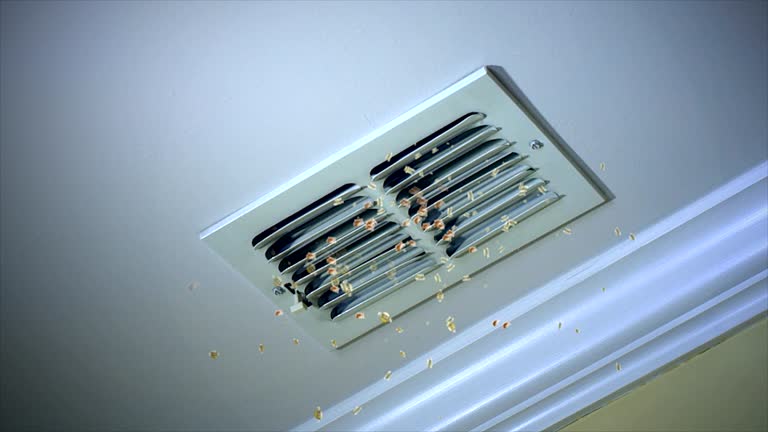 Best Local Air Duct Cleaning Services  in Hargill, TX